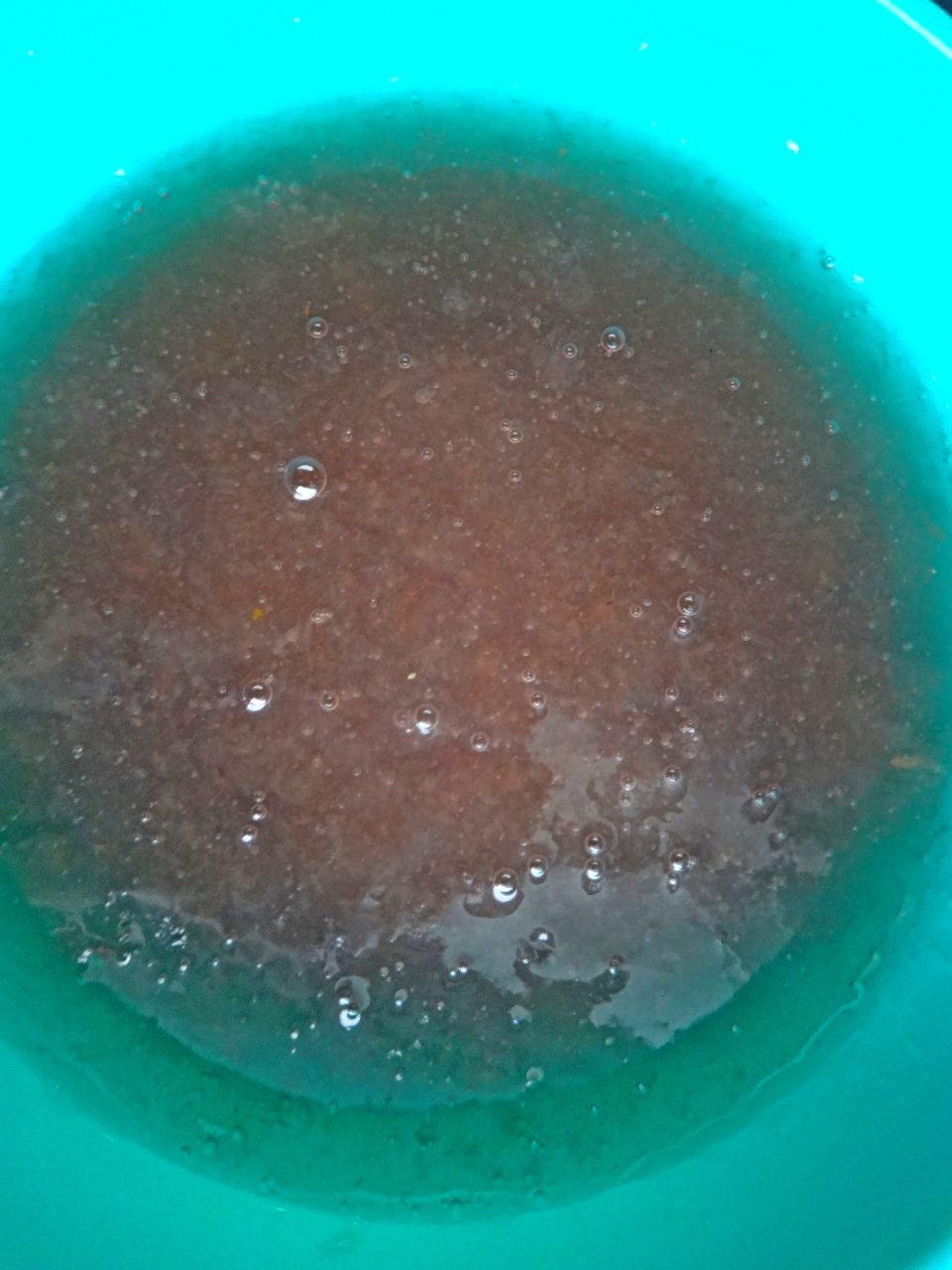 boiled cooled unprocessed carrageen (Irish moss)