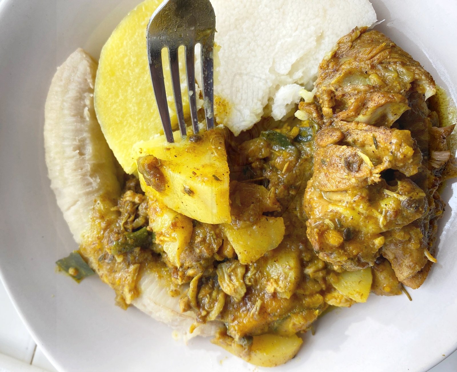 Read more about the article Ground (+tree) Provisions